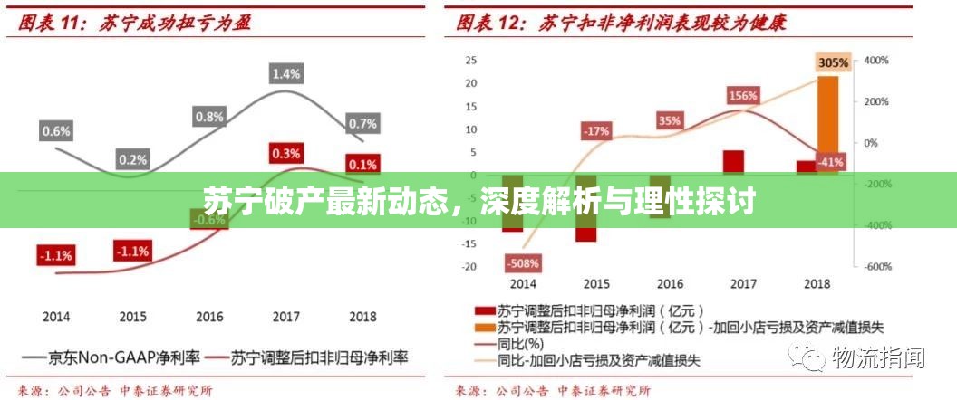蘇寧破產(chǎn)最新動(dòng)態(tài)，深度解析與理性探討