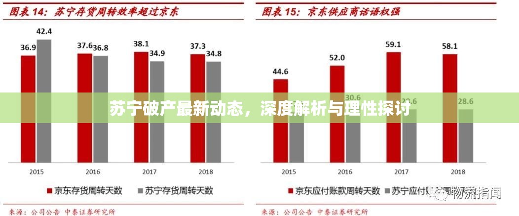 蘇寧破產(chǎn)最新動(dòng)態(tài)，深度解析與理性探討