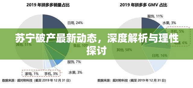 蘇寧破產(chǎn)最新動(dòng)態(tài)，深度解析與理性探討