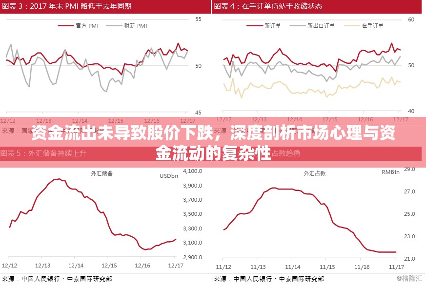 資金流出未導(dǎo)致股價下跌，深度剖析市場心理與資金流動的復(fù)雜性