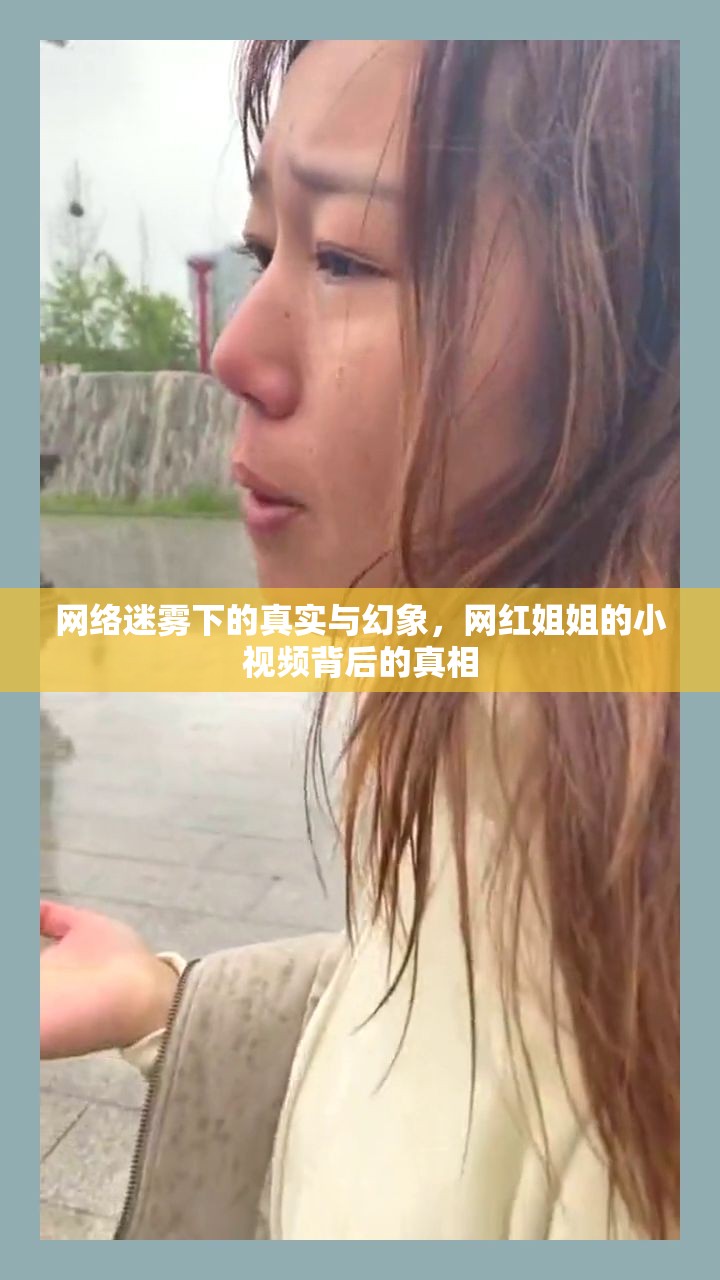網(wǎng)絡(luò)迷霧下的真實(shí)與幻象，網(wǎng)紅姐姐的小視頻背后的真相