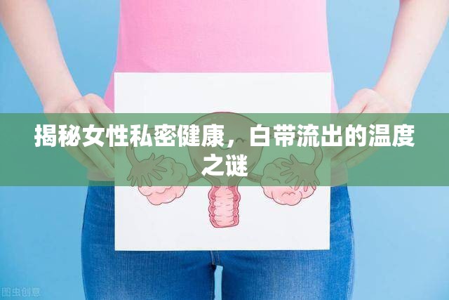 揭秘女性私密健康，白帶流出的溫度之謎