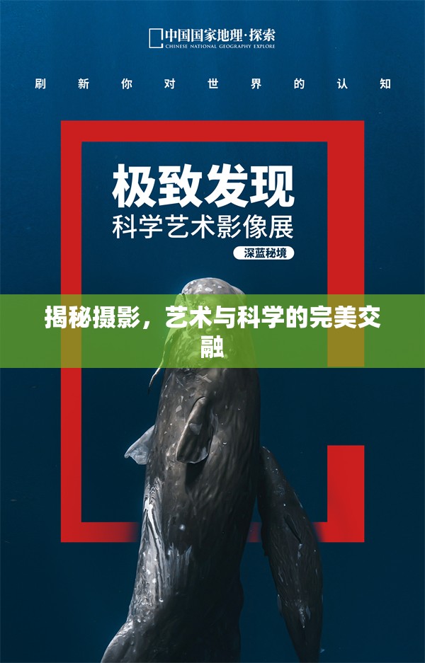 揭秘攝影，藝術與科學的完美交融