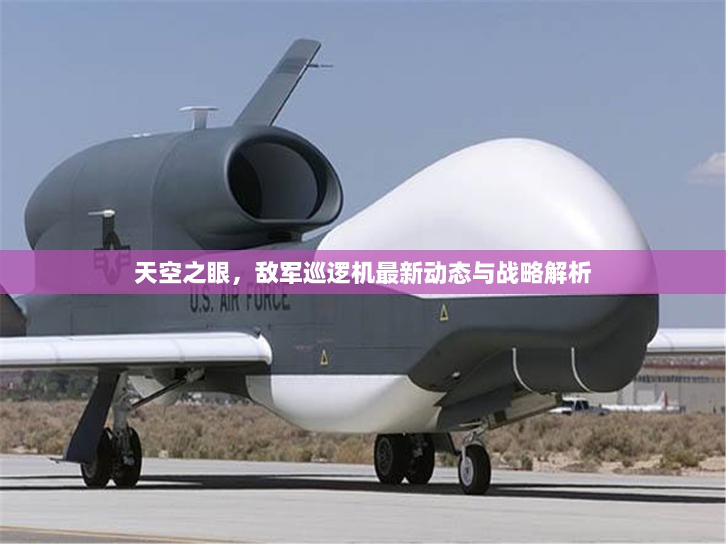 天空之眼，敵軍巡邏機(jī)最新動態(tài)與戰(zhàn)略解析