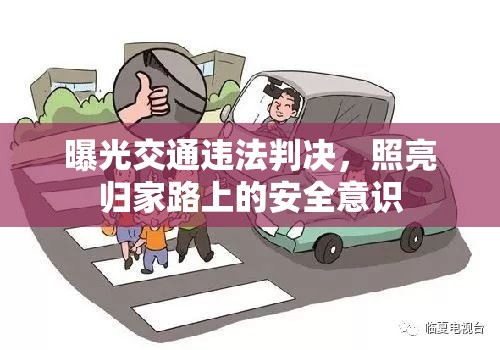 曝光交通違法判決，照亮歸家路上的安全意識