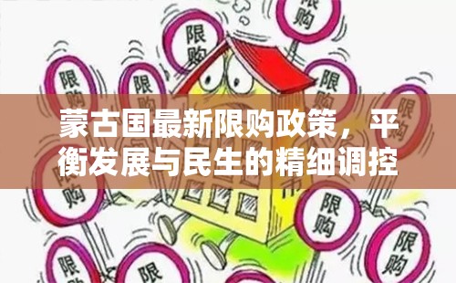 蒙古國(guó)最新限購(gòu)政策，平衡發(fā)展與民生的精細(xì)調(diào)控