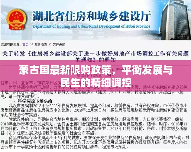 蒙古國(guó)最新限購(gòu)政策，平衡發(fā)展與民生的精細(xì)調(diào)控