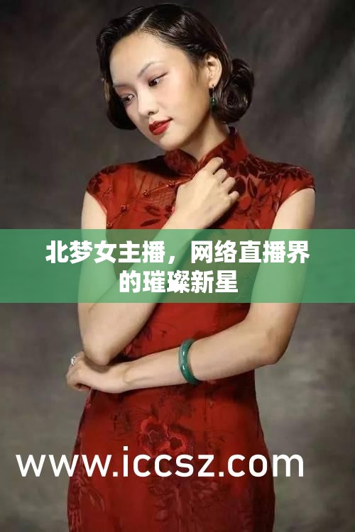 北夢女主播，網(wǎng)絡(luò)直播界的璀璨新星