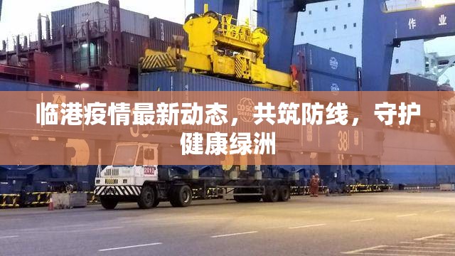 臨港疫情最新動(dòng)態(tài)，共筑防線，守護(hù)健康綠洲