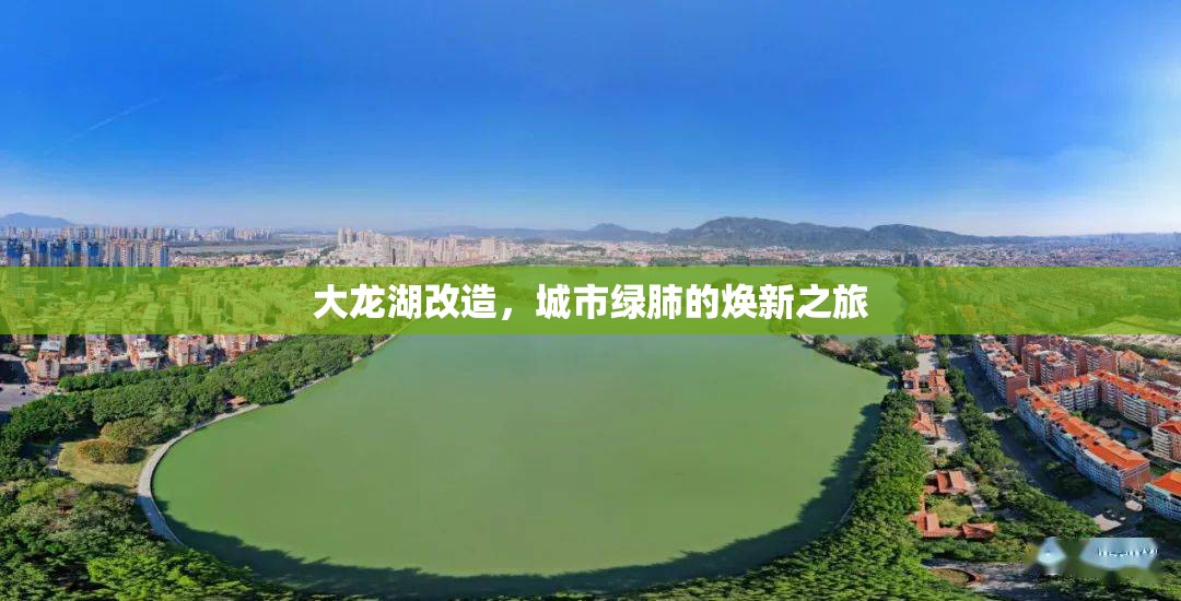 大龍湖改造，城市綠肺的煥新之旅