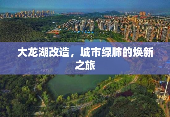 大龍湖改造，城市綠肺的煥新之旅