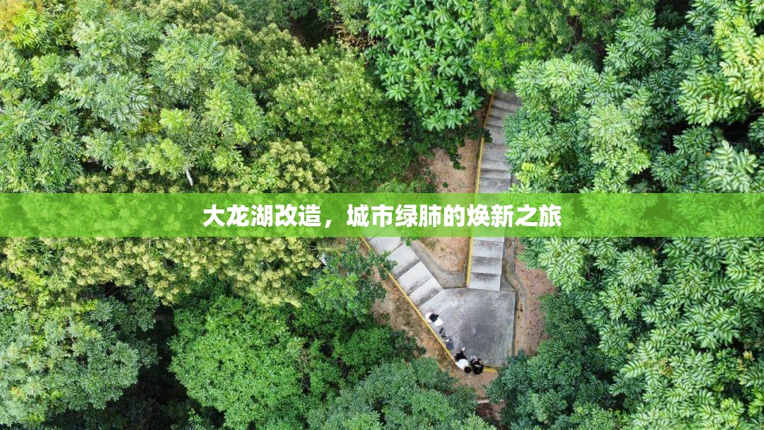 大龍湖改造，城市綠肺的煥新之旅