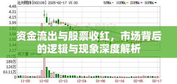 資金流出與股票收紅，市場(chǎng)背后的邏輯與現(xiàn)象深度解析