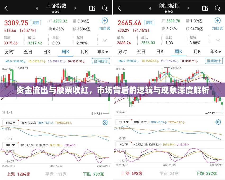 資金流出與股票收紅，市場(chǎng)背后的邏輯與現(xiàn)象深度解析