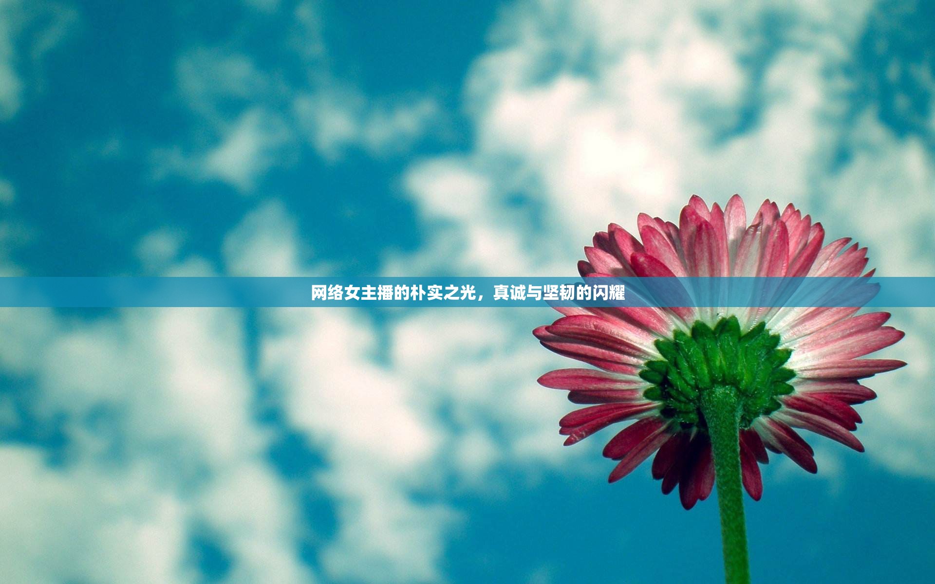 網(wǎng)絡(luò)女主播的樸實(shí)之光，真誠(chéng)與堅(jiān)韌的閃耀