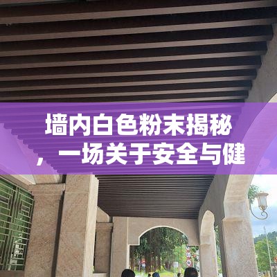 墻內(nèi)白色粉末揭秘，一場(chǎng)關(guān)于安全與健康的深度探討