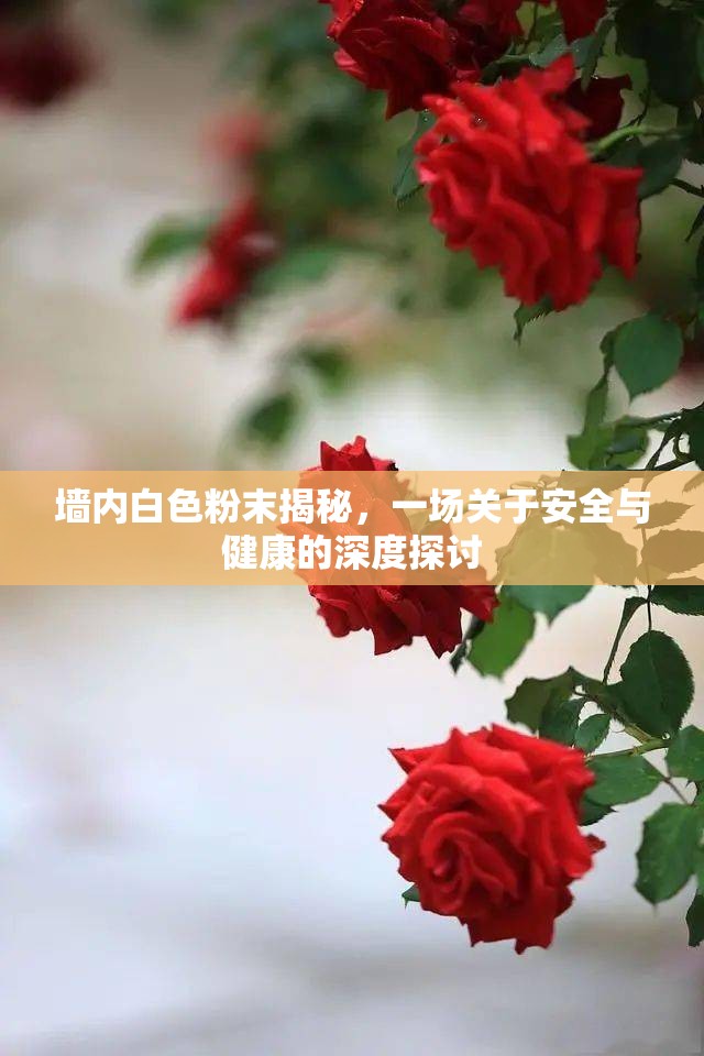 墻內(nèi)白色粉末揭秘，一場(chǎng)關(guān)于安全與健康的深度探討
