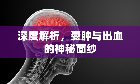 深度解析，囊腫與出血的神秘面紗