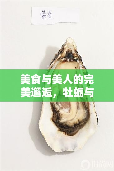 美食與美人的完美邂逅，牡蠣與韓國女主播的誘惑