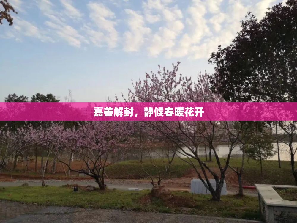 嘉善解封，靜候春暖花開