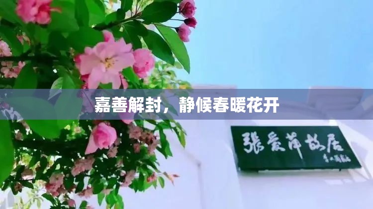 嘉善解封，靜候春暖花開