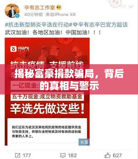揭秘富豪捐款騙局，背后的真相與警示
