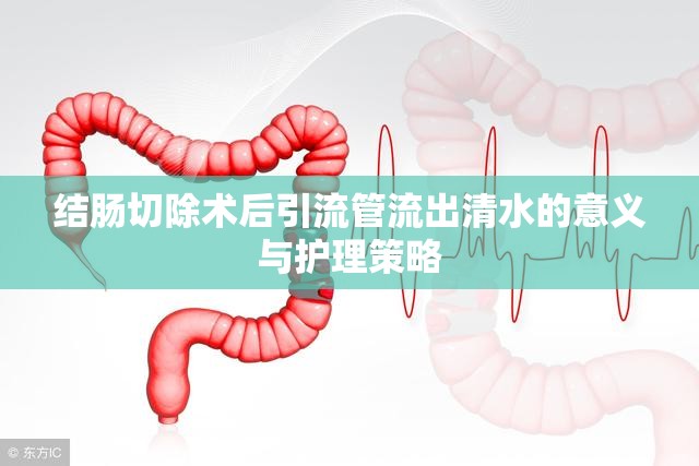 結(jié)腸切除術(shù)后引流管流出清水的意義與護理策略