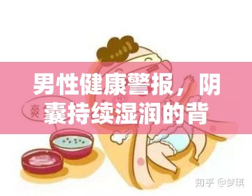 男性健康警報(bào)，陰囊持續(xù)濕潤(rùn)的背后