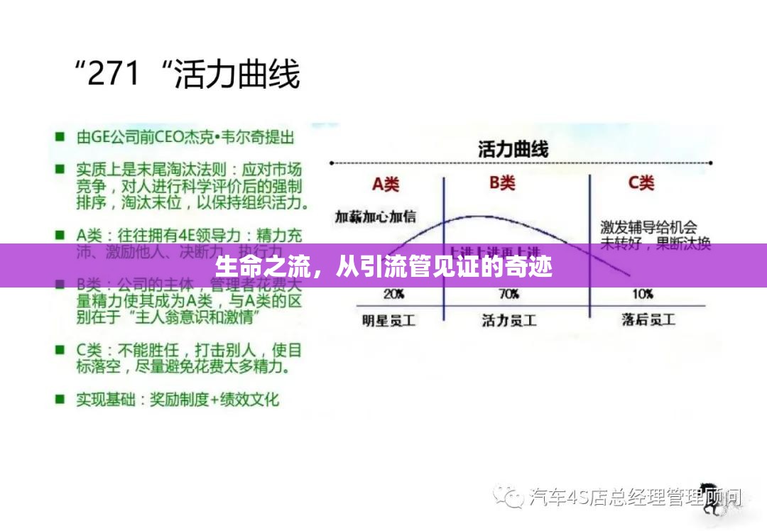 生命之流，從引流管見證的奇跡