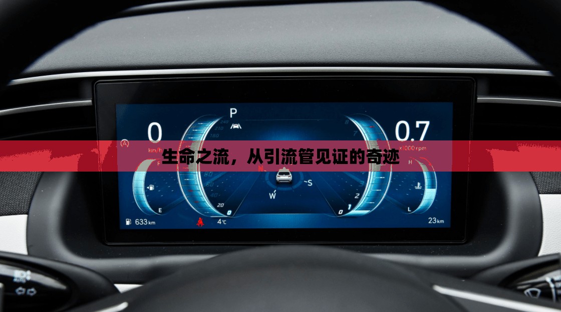 生命之流，從引流管見證的奇跡