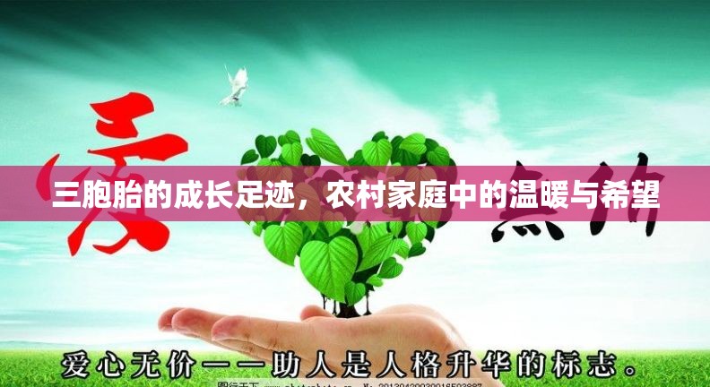 三胞胎的成長足跡，農(nóng)村家庭中的溫暖與希望