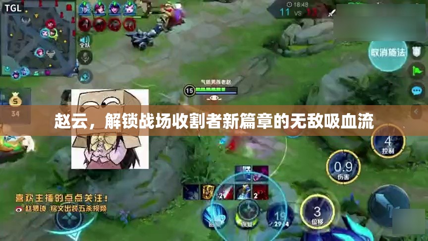 趙云，解鎖戰(zhàn)場收割者新篇章的無敵吸血流