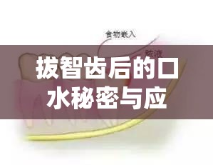 拔智齒后的口水秘密與應(yīng)對策略