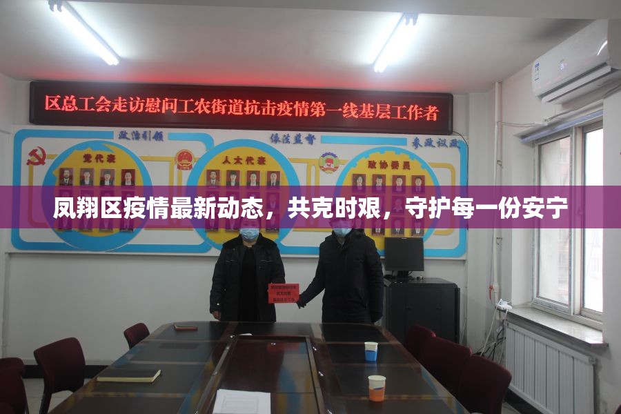 鳳翔區(qū)疫情最新動態(tài)，共克時艱，守護每一份安寧