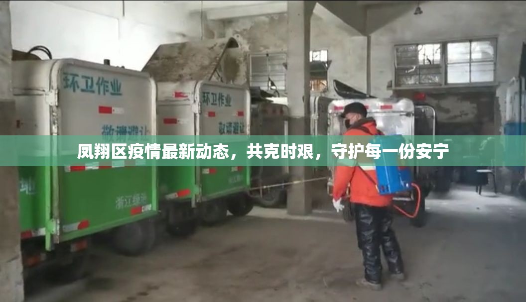 鳳翔區(qū)疫情最新動態(tài)，共克時艱，守護每一份安寧