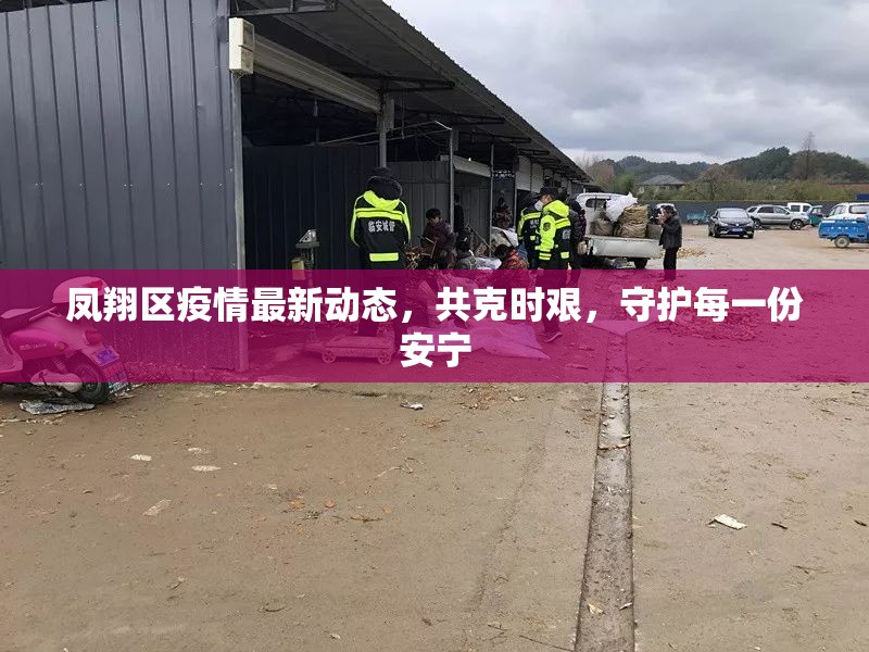 鳳翔區(qū)疫情最新動態(tài)，共克時艱，守護每一份安寧
