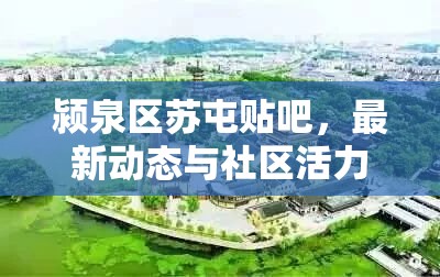 潁泉區(qū)蘇屯貼吧，最新動態(tài)與社區(qū)活力迸發(fā)
