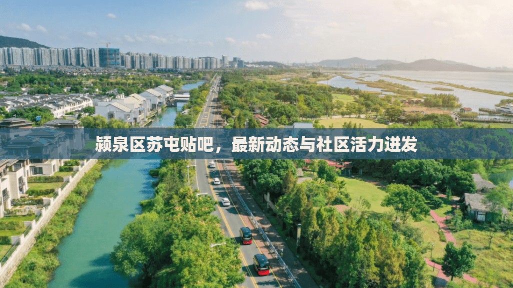 潁泉區(qū)蘇屯貼吧，最新動態(tài)與社區(qū)活力迸發(fā)