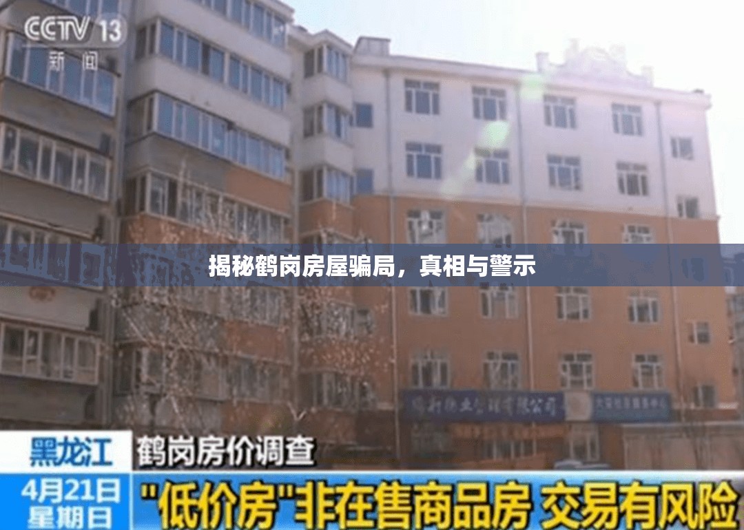 揭秘鶴崗房屋騙局，真相與警示