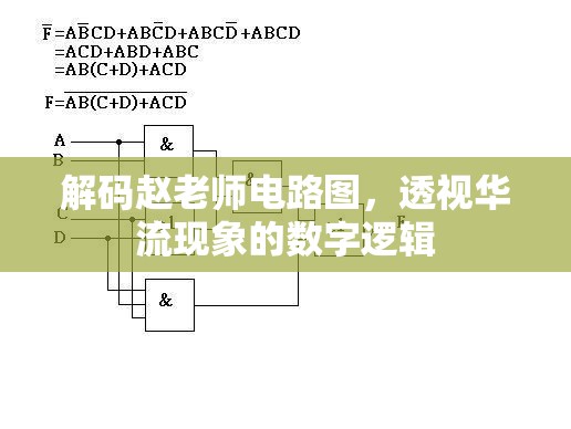 解碼趙老師電路圖，透視華流現(xiàn)象的數(shù)字邏輯