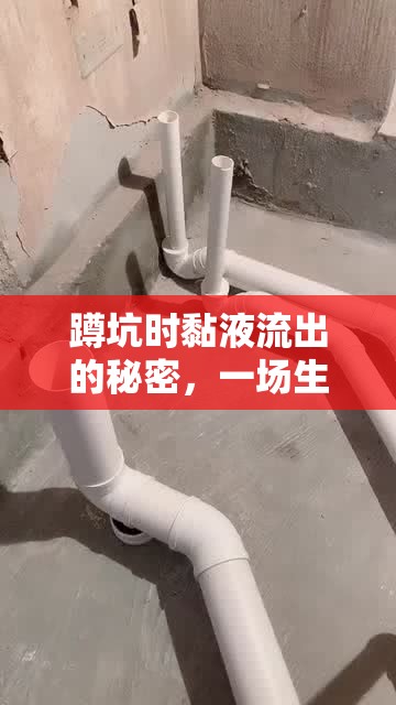 蹲坑時黏液流出的秘密，一場生理與衛(wèi)生的深度解析