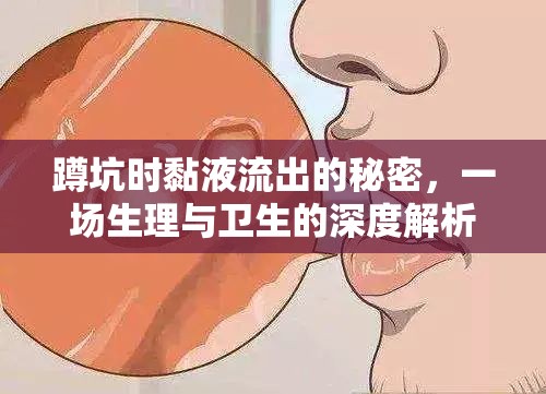 蹲坑時黏液流出的秘密，一場生理與衛(wèi)生的深度解析