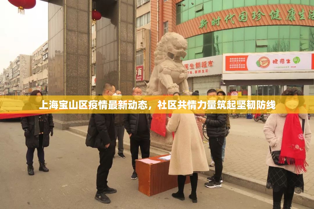 上海寶山區(qū)疫情最新動態(tài)，社區(qū)共情力量筑起堅韌防線