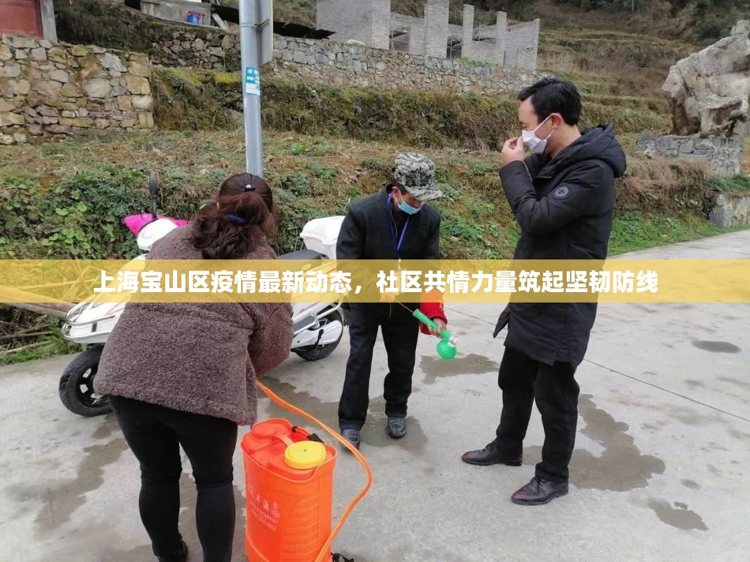上海寶山區(qū)疫情最新動態(tài)，社區(qū)共情力量筑起堅韌防線