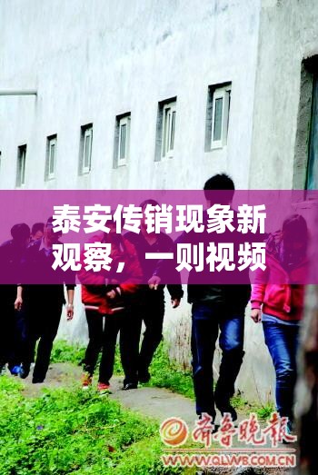 泰安傳銷現(xiàn)象新觀察，一則視頻揭示的冰山一角