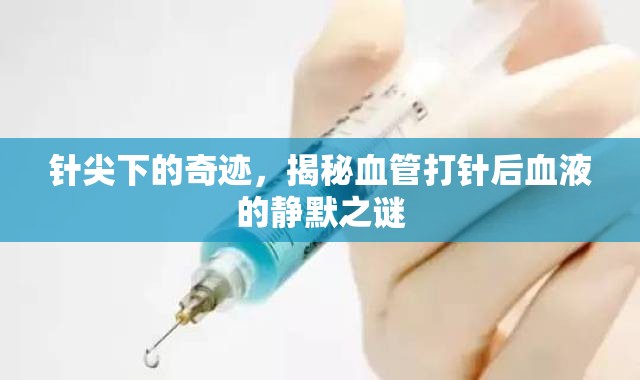 針尖下的奇跡，揭秘血管打針后血液的靜默之謎
