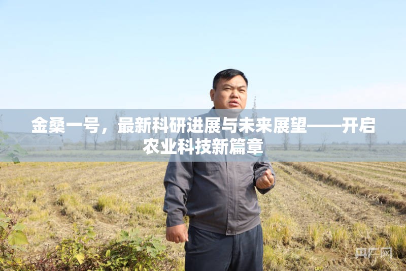 金桑一號(hào)，最新科研進(jìn)展與未來展望——開啟農(nóng)業(yè)科技新篇章