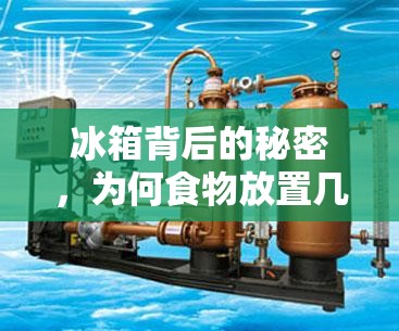 冰箱背后的秘密，為何食物放置幾天后會有水流出？