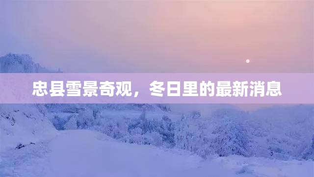 忠縣雪景奇觀，冬日里的最新消息