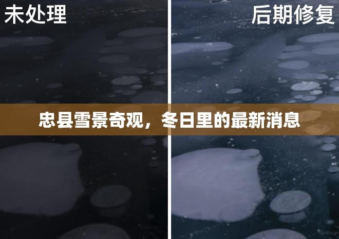 忠縣雪景奇觀，冬日里的最新消息